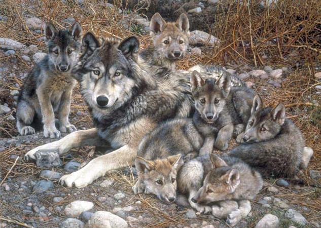 (image for) Handmade oil painting Copy paintings of famous artists Carl Brenders Paintings Den Mother-Wolf Family - Click Image to Close